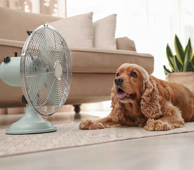 Emergency-ac-services